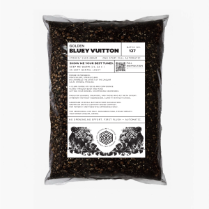 Bluey Vuitton