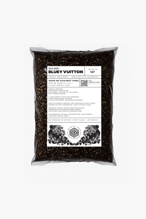 Bluey Vuitton