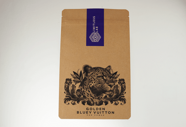 Bluey Vuitton
