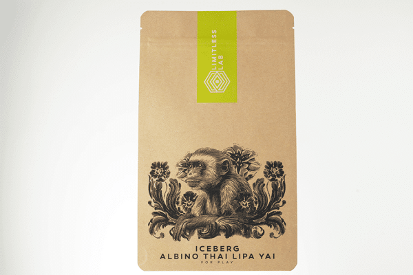 Thai Lipa